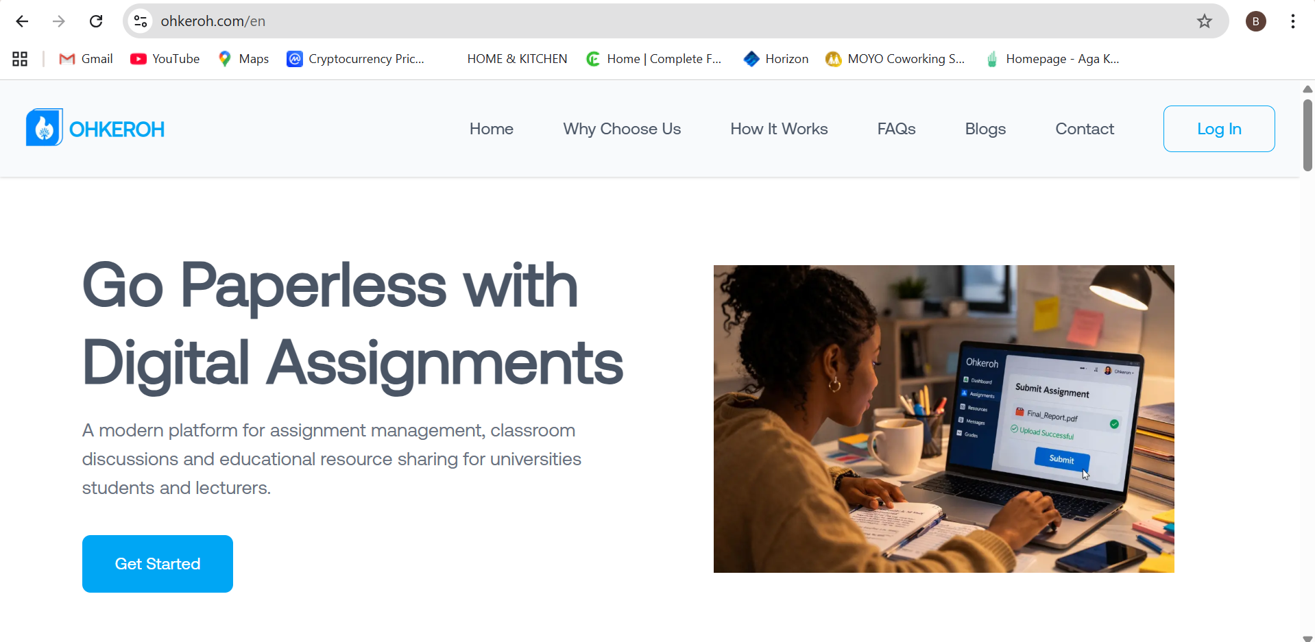 Web development project